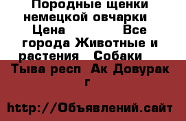 Породные щенки немецкой овчарки › Цена ­ 24 000 - Все города Животные и растения » Собаки   . Тыва респ.,Ак-Довурак г.